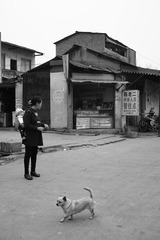SDIM0196