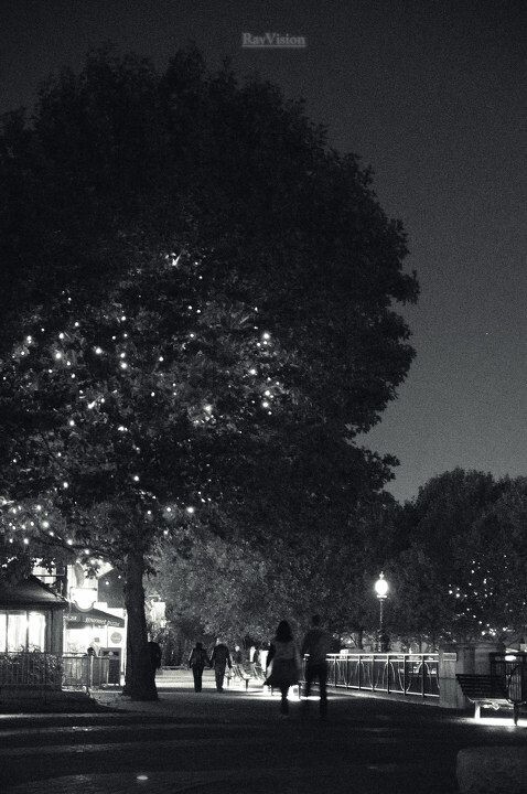 A Night upon Thames<br />
