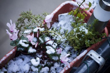 雪后的窗台