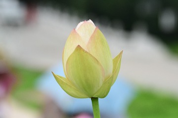 静