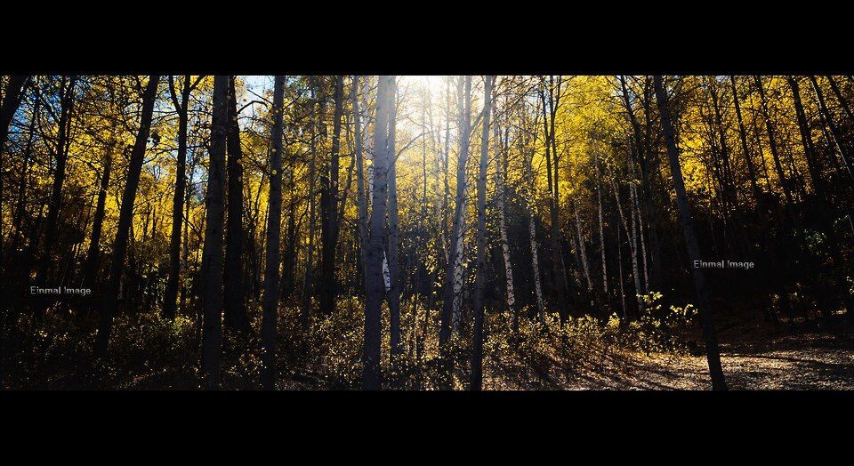 20111113-Image2<br />