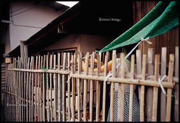 20130323-IMG077