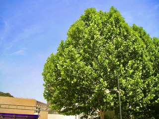 E5912483-BC0E-4FA1-BEDB-7E81CF81DF90/L0/001
