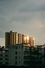 6450749