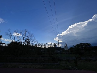 CA969F9F-C958-497B-A492-F497ED865A48/L0/001