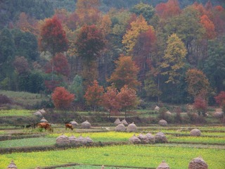 100_1297a.jpg