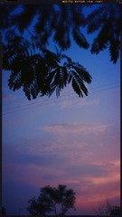 D5F0107D-8023-4E81-8C93-3D8EB0FD2151/L0/001