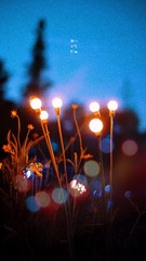 BCC93082-0304-454F-A0C9-3431D0A67F44/L0/001