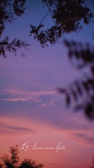 3BEC39C2-E111-4A40-A9C3-E08F16F01BD1/L0/001