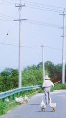 F5CA1576-3EBE-4C58-9F2A-DD6DE2E9BFD0/L0/001