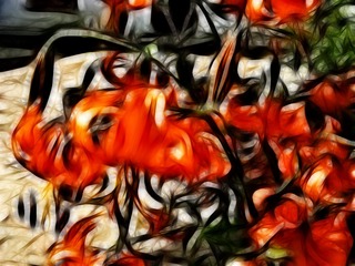 1EE787A4-AE44-4940-B3C2-4F31F4B13D30/L0/001