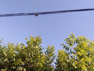 695604