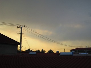 4137773