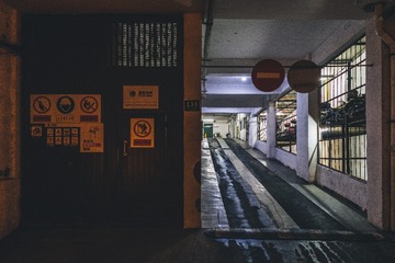 _DSC0203