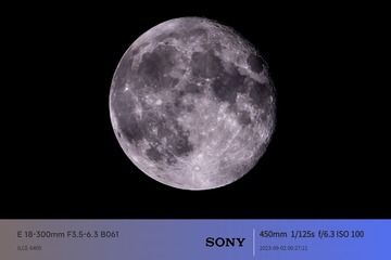 1000131827