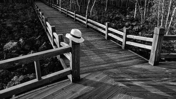 DSC00598-
