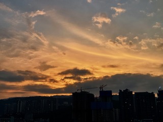 A729159E-ADC7-4F70-8C75-2E0C80C43809/L0/001