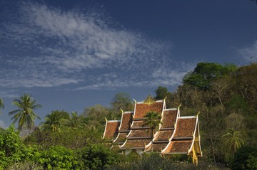 IMGP6694.jpg