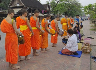 IMGP7104.jpg
