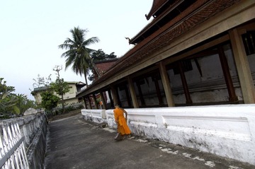 IMGP7120.jpg