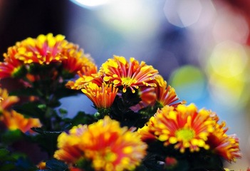 _IGP8755.jpg