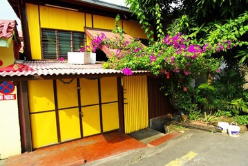 IMGP5755.jpg
