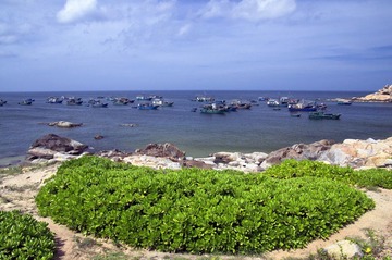 IMGP9541.jpg