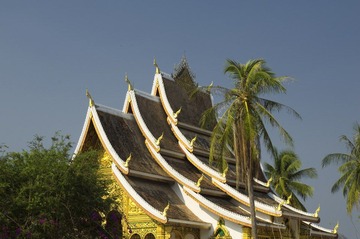 IMGP6712.jpg