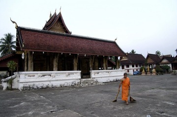 IMGP7115.jpg