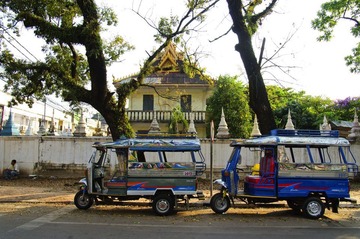 IMGP7306.jpg