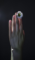 1000107238