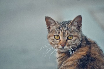 20121226-DSC_8023.jpg