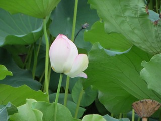 F5BD0EA7-7F03-4308-BFB2-B9EDC25C2118/L0/001