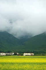 DSC04419.JPG