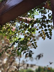 1000057362