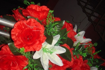 C13356C9-0FCF-4A1E-B7DF-E19F58E58D44/L0/001