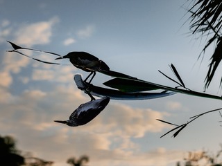 201251