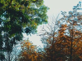 201249
