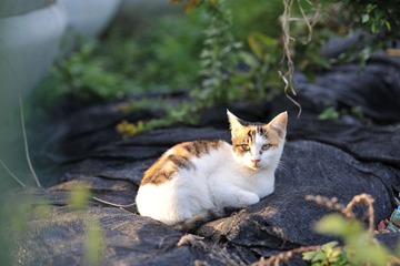 DSC_9678.JPG