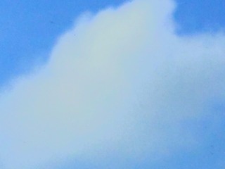 D491A721-48D4-41A6-A658-3A71E3E7588B/L0/001
