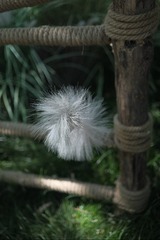 01327F9A-A903-4DDD-9077-E6845FF5D2BC/L0/001