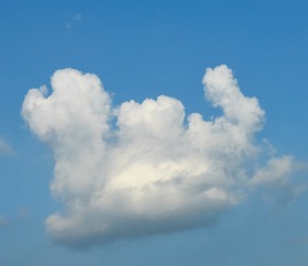 8B2A3D5D-CDEC-44AE-AF9B-E30B41261DBA/L0/001