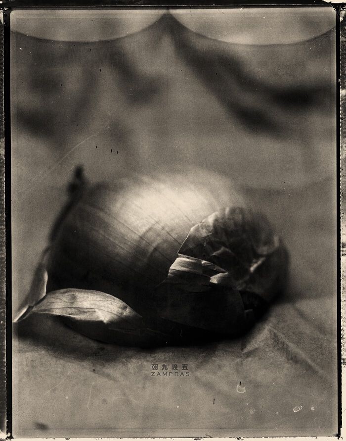 LF.Pola665.201212.03<br />
