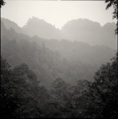 R.Acros100.201710.10