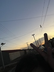 852827B3-1D95-45E8-A9DE-0435D98E0638/L0/001