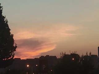 1616305