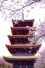 27A4E303-0615-4954-A125-0F511250E531/L0/001