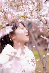 B5944C01-708C-450E-8AE0-515ADCB4086F/L0/001