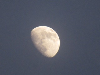 121006