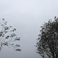 2101EBAA-E229-48F4-B594-835B30665A03/L0/001